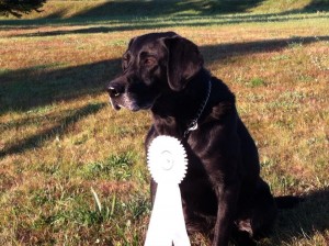 Moses with his Amateur Ribbon