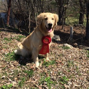 Ava with her QAA ribbon