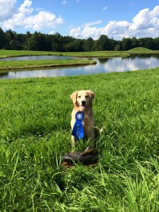 Ava with her first place Qual ribbon and trophy.