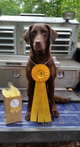 Ella with her Amateur 3rd place ribbon.