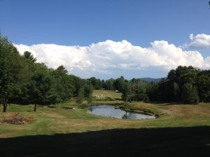 View from the kennel down to the pond